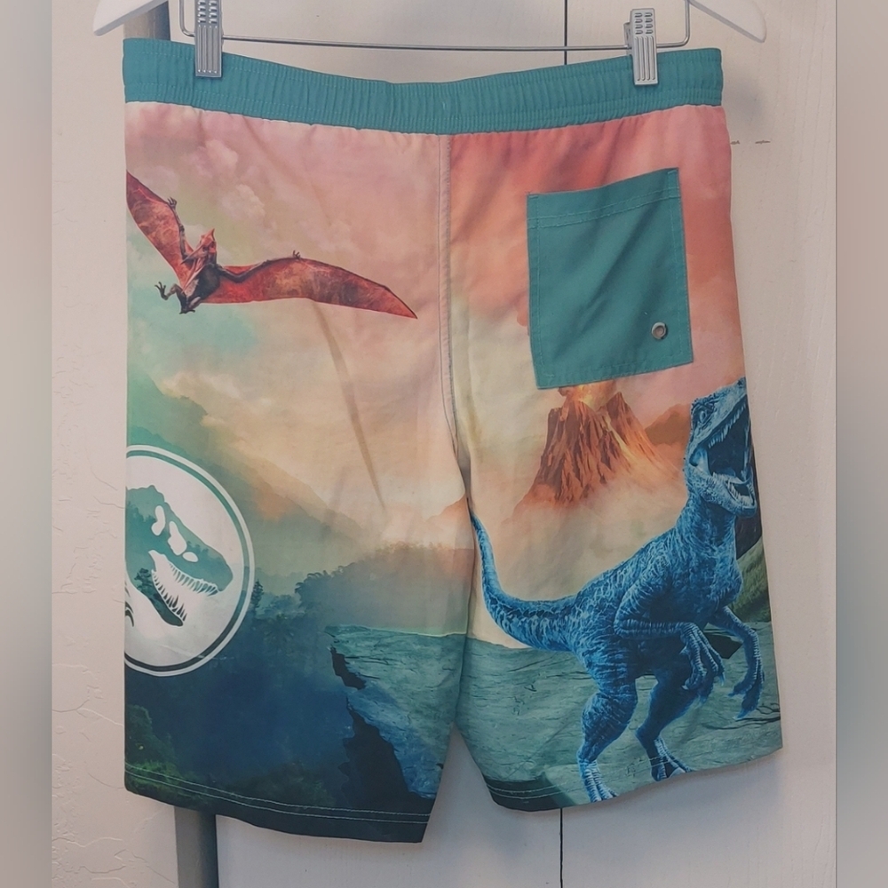 Jurassic World Park T-Rex Graphic Board Shorts Swim Trunks Size XL (14-16) Youth - Picture 5 of 11